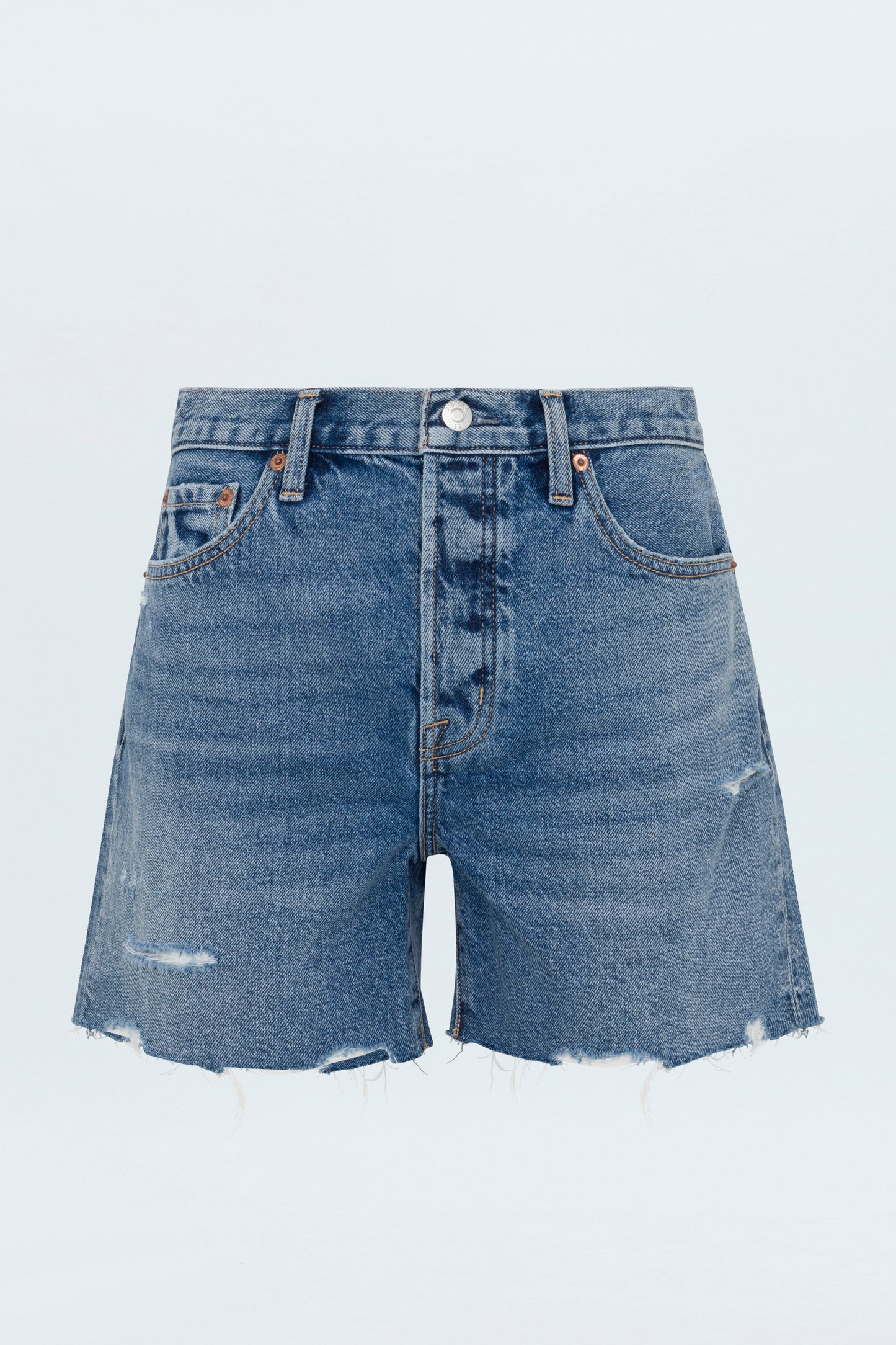 Andie High Rise Vintage Short - Thesis Distressed