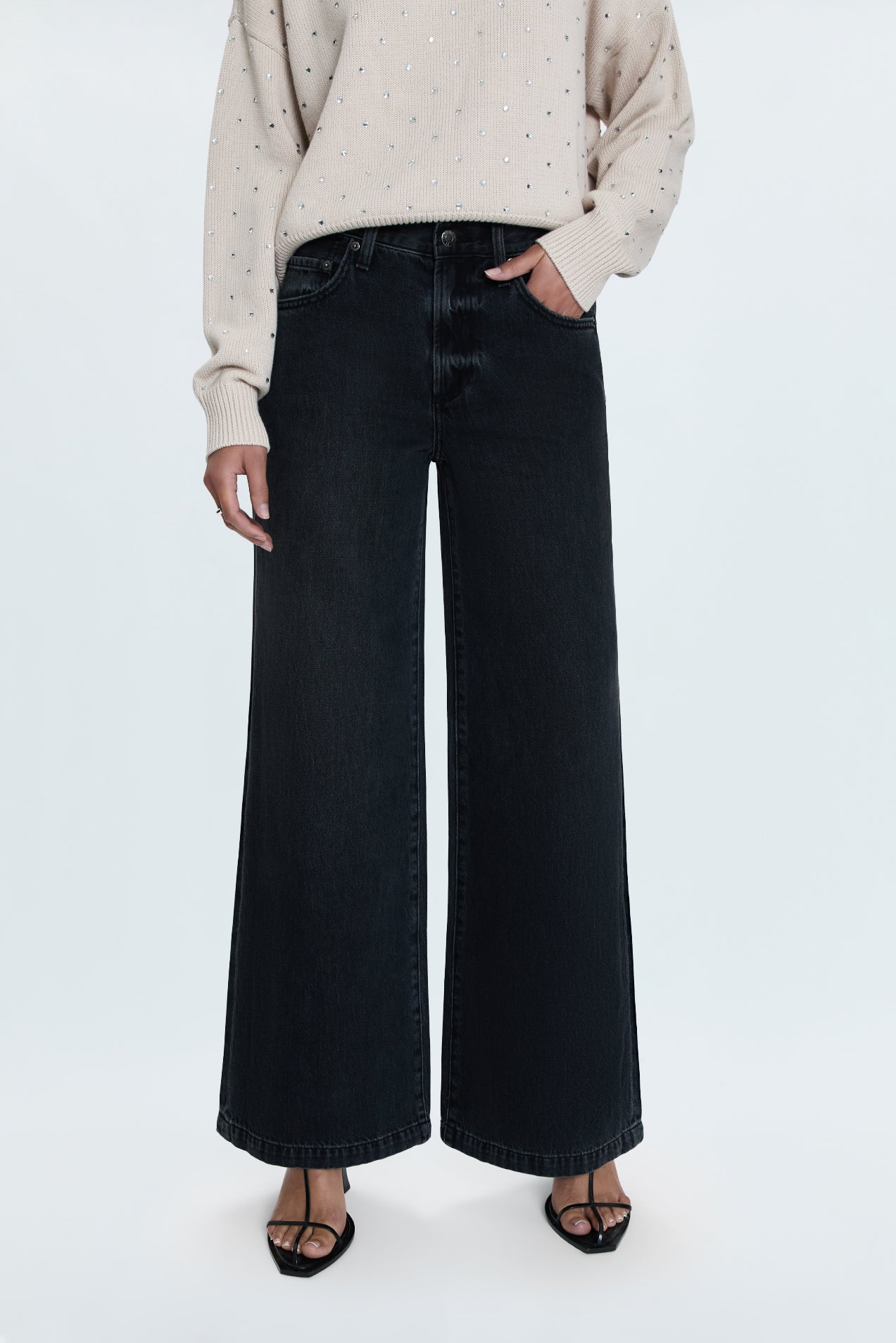 【PALEJADE】Black Cotton Low-Rise Demim Jean Jadyn Low Slung Palazzo Jean - Zen – Pistola Denim
